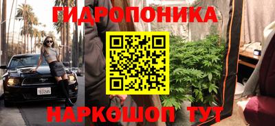 бошки Гай